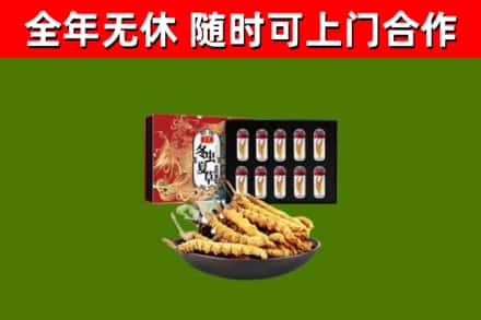 东宝回收冬虫夏草价格